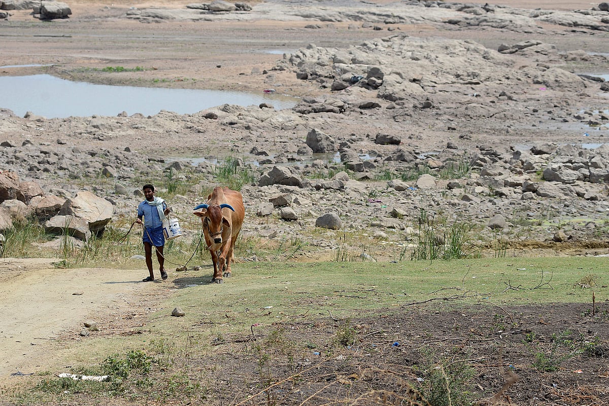 Focus on shielding farms from monsoon vagaries