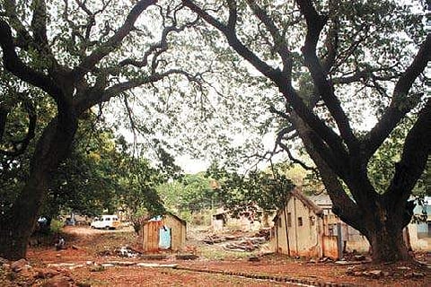 The hospital opened by FJ Richards, a visionary, is surrounded by hundred-year-old trees  S Manjunath