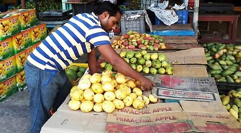 A trader arranges mangoes in his shop in the mango market near the Neelakantheswar temple I Express