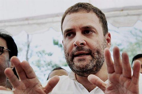 AICC Vice President Rahul Gandhi (PTI)