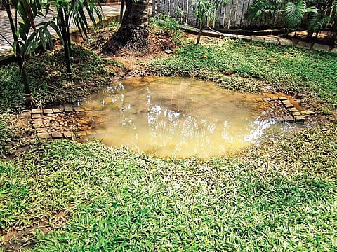 RWH systems are a must this rainy season