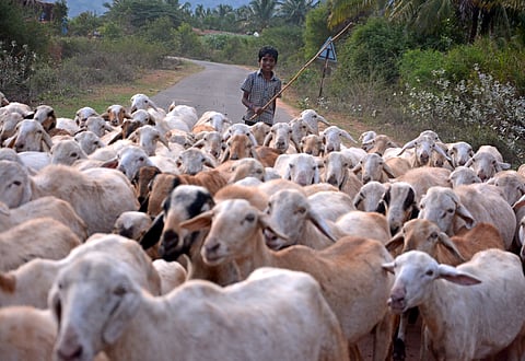 Image used for representational purpose.