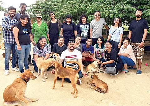 Volunteers of Manusatva  at Maruthy Dog Shelter