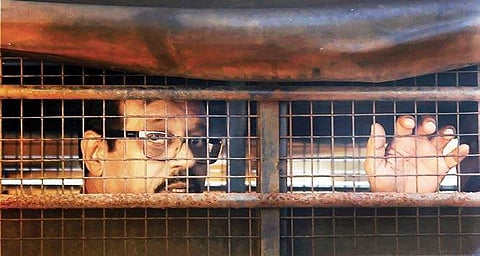 Dossa, 60, who was lodged in the Arthur Road jail, yesterday died at Mumbai's J J Hospital where he was admitted after complaining of chest pain.   (File | PTI)