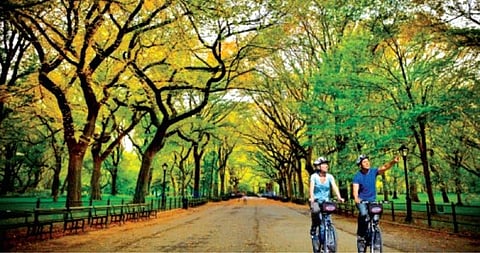Oxygen Park at Morhabad in Ranchi is likely to come up on 11 acres land.  The project will  cost around  `8.5 crore