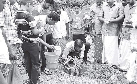Shahul Hameed, 44, planting a sapling at a roadside at Mulleria in Kasargod