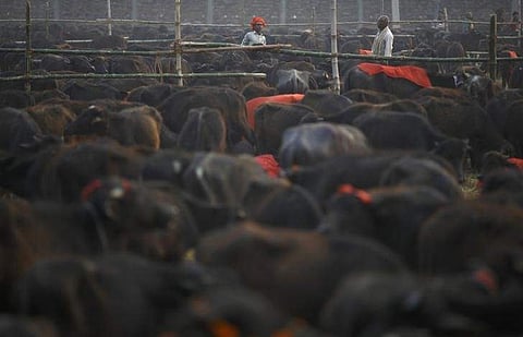 Reuters File image used for representational pupeose.