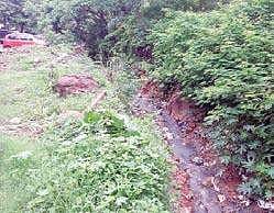 The open drain running near Srinivas Nagar in Visakhapatnam has become  a breeding ground for mosquitoes | Express