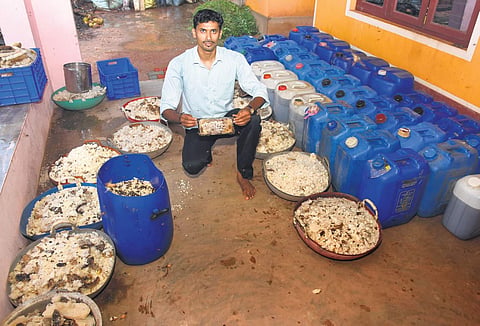 Manmohan Arambhya was introduced to the art of collecting honey by his grandfather | Rajesh Shetty Ballalbagh