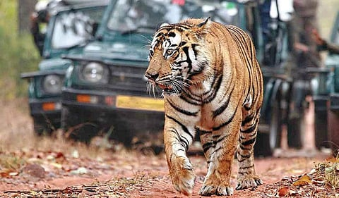 Image used for representational purpose only