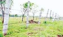 Govt welcomes HC verdict on Sadavarti Satram land case 