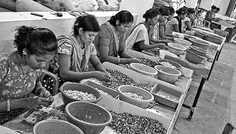 Bonda girls peeling cashew nuts in the processing unit at Mundiguda I Express