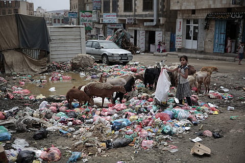 A girl scavenges for recyclable items at a garbage dump in a street in Sanaa, Yemen.  (Photo | AP)