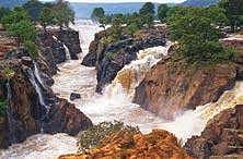 Rain-swollen River Cauvery living up to its glory at Hogenakkal  in Dharmapuri | Express