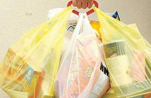 Maharashtra govt planning to ban plastic carry bags from next year: Environment minister