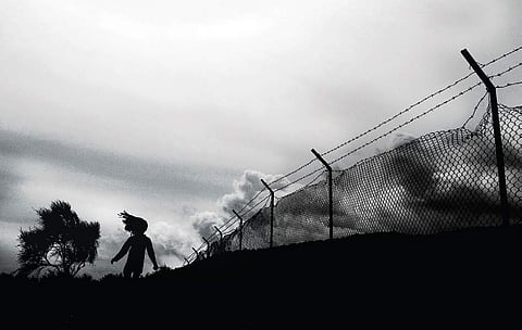 Sameness that defies manmade borders