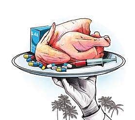 Centre for Science and Environment: Drug-resistant germs may spread to agriculture lands from poultry farms