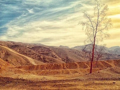 Quarter of land on earth will be drier under two degrees Celsius due to global warming