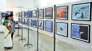 Visitors going through the pictures displayed at the ‘Indiarctica’  B P Deepu
