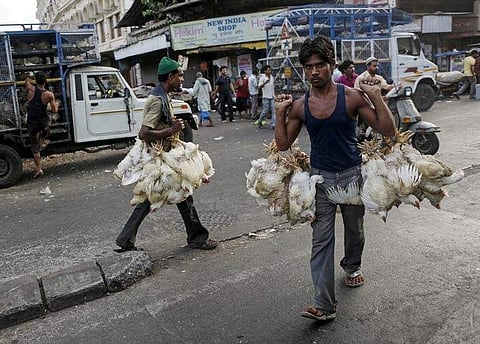 Workers carry chickens from trucks at a poultry market. (File Photo | Reuters)