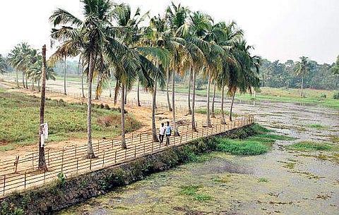 The walkway on the bank of Kadambrayar river. A slew of projects has been proposed to beautify the location   K Shijith