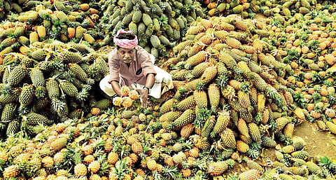 Image used for representational purpose. (Express File Photo)
