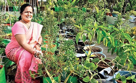 Kanchan Jayakumar in her terrace garden Ashwin Prasath