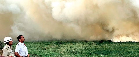 Bellandur lake,  once a birder’s paradise