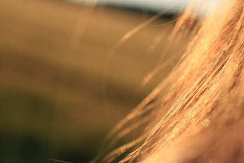 Rs 65 crore illegal income of Karnataka hair exporters detected