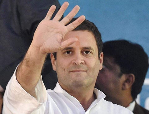 Rahul Gandhi (PTI Photo)
