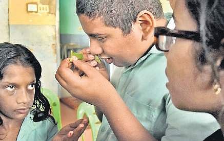The students of the Government School for the Visually Impaired during the nature education camp  B P Deepu