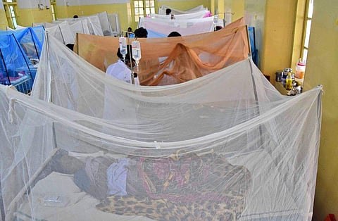 Until Thursday evening, the state Health Department reported a total of 441 H1N1 cases in Karnataka. 