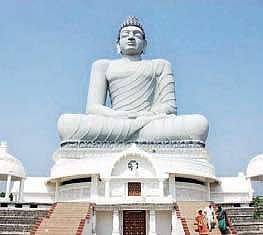 APCRDA plans to acquire 2,400 acres by invoking new Land Acquisition Act