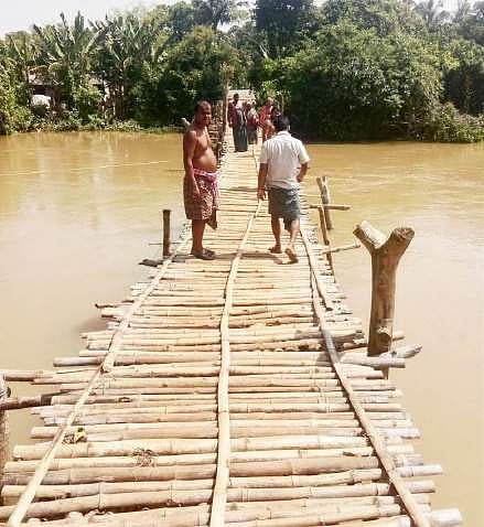 The bamboo bridge over Gongahar river at Shirakoili in Balasore district | Express