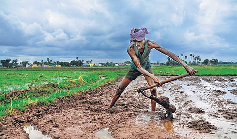 The revenue officials are planning to act tough against a list of the plots that were carved out of agricultural land (File | EPS)