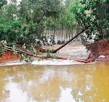 Water flows through the breach in the left bank of Kalyana Odai near Orathanadu on Monday | Express