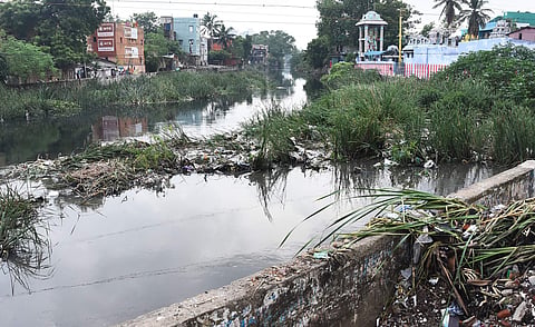 Otteri Buckingham Canal. (File | EPS)