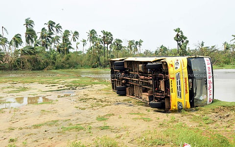 A severe cyclonic storm Gaja battered the Tamil Nadu coast on Friday, leaving at least 13 people and livestock dead and a trail of destruction in several districts.  IN PIC: Flooded EB post in Nagapattinam (Photo | EPS/K Venkatesh)