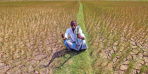With climate change looming, the earlier conceptual framework of drought needs to be changed radically.