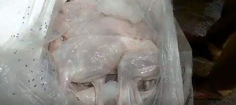 The dog meat  seized at Chennai's Egmore railway station. (File Photo | Video screengrab)