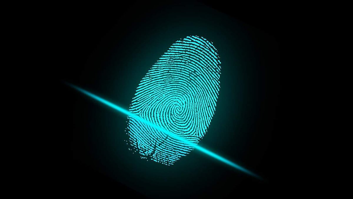 A pollen fingerprint for spotting fakes