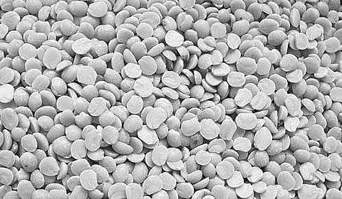More areas under pulses
