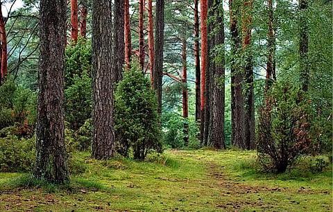 Image used for representational purpose only.