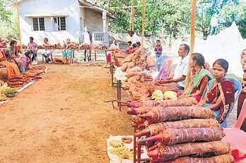 The one-day mela saw farmers sell at least 40 varieties of tuber | Express