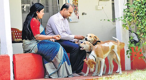 The guidelines were drawn up with collective inputs from activists, animal lovers and apartment owners