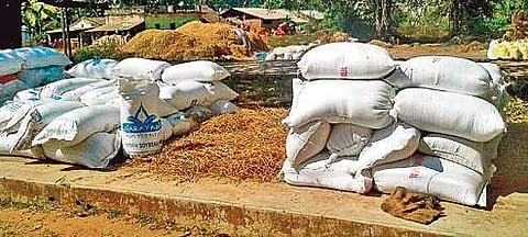 Bags of paddy at a mandi in Koraput district.