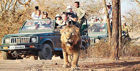 Devaliya Safari Park