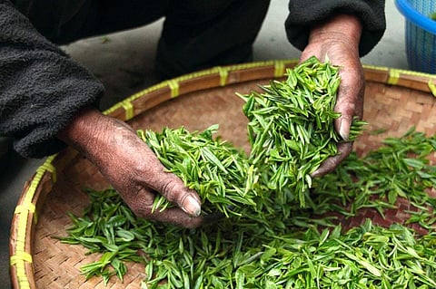 Image used for representational purpose only