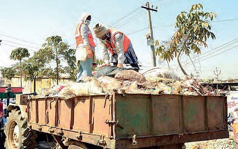 Sanitation workers clean the garbage left behind by devotees attending the  Medaram Jatara in Warangal on Thursday 