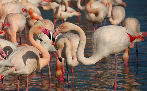 Image used for representational purpose.